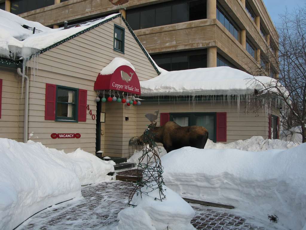 Copper Whale Inn Anchorage Dış mekan fotoğraf